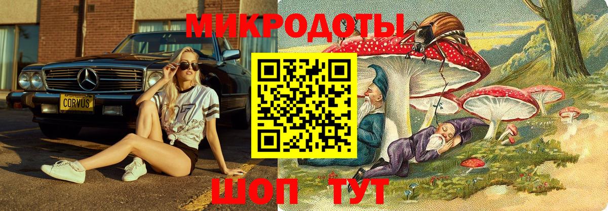 где можно купить наркотик  Вход с VPN  Хабаровск  Псилоцибиновые грибы MAGIC MUSHROOMS 